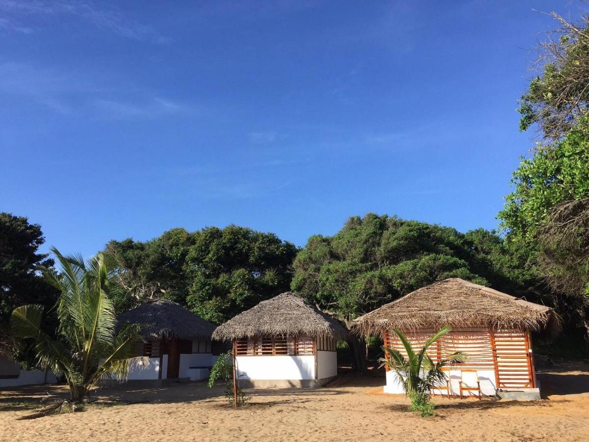 Upali Beach Surf Resort & Cafe Arugam Bay Εξωτερικό φωτογραφία